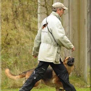 gela 201111 schh3 02