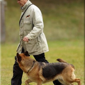 gela 201111 schh3 05