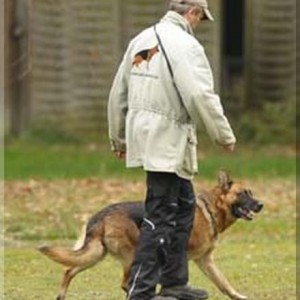 gela 201111 schh3 06