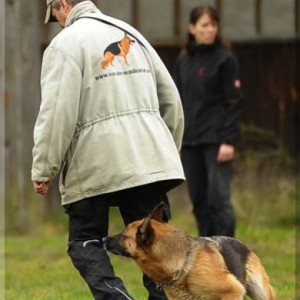 gela 201111 schh3 07