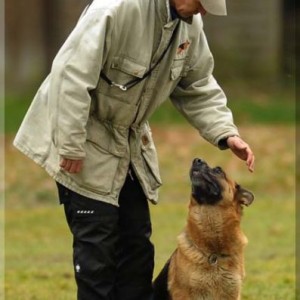 gela 201111 schh3 12