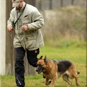 gela 201111 schh3 17