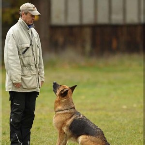 gela 201111 schh3 19