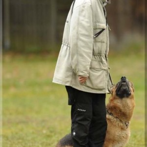 gela 201111 schh3 20