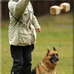 gela 201111 schh3 21
