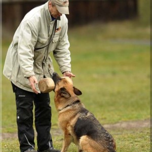 gela 201111 schh3 23