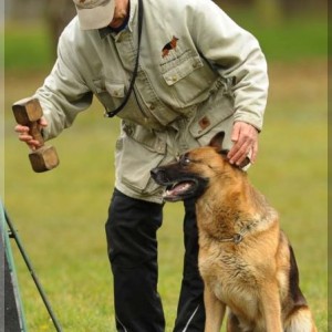 gela 201111 schh3 24