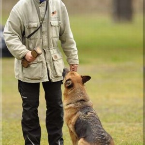 gela 201111 schh3 27