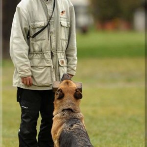 gela 201111 schh3 31