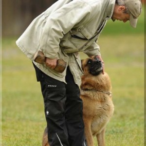 gela 201111 schh3 32