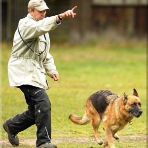 gela 201111 schh3 33