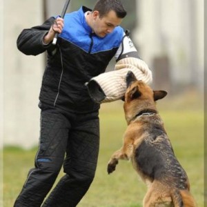 gela 201111 schh3 c 06