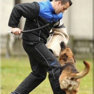 gela 201111 schh3 c 07
