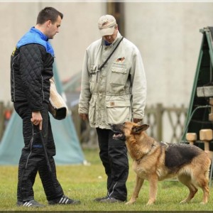 gela 201111 schh3 c 09