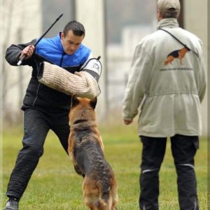 gela 201111 schh3 c 10