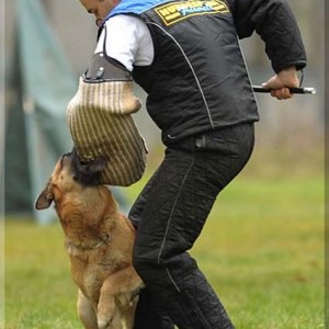 gela 201111 schh3 c 12