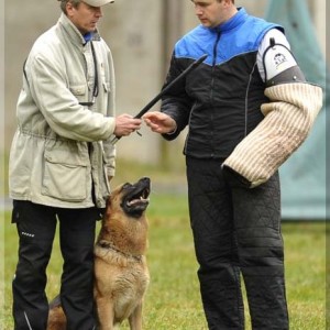 gela 201111 schh3 c 13