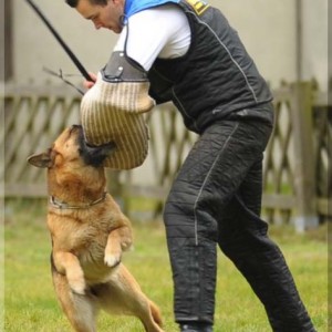 gela 201111 schh3 c 16