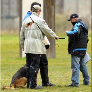 gela 201111 schh3 c 17