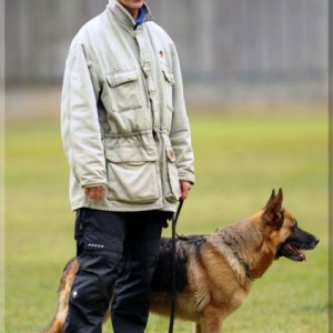 gela 201111 schh3 c 18