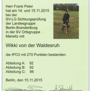 2015 11 15 04