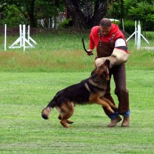 gerry 3081 kurze flucht