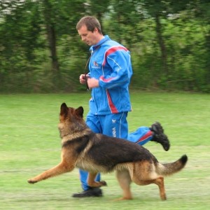 gerry cd5246 freifolge