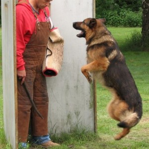 gerry cd5516 stellen verbellen