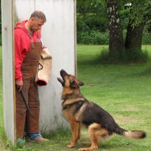 gerry cd5517 stellen verbellen