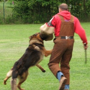 gerry cd5522 kurze flucht