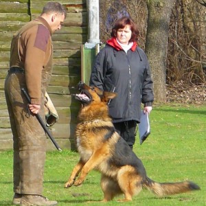 gerry minden 560 568x600