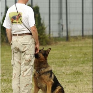 080809 unterordnung sichtung lga 006