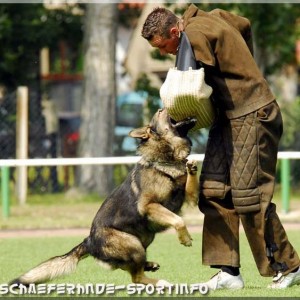 jasko 260807 05