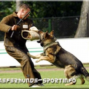 jasko 260807 06