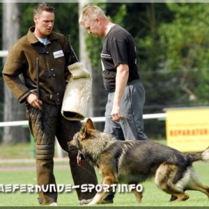 jasko 260807 07