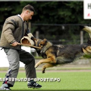 jasko 260807 09