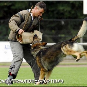jasko 260807 10