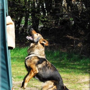 jasko annenhof 070407 p07