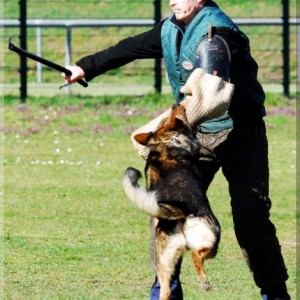 jasko annenhof 070407 p25