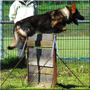 jasko annenhof 130407 05