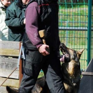 jasko annenhof 130407 07