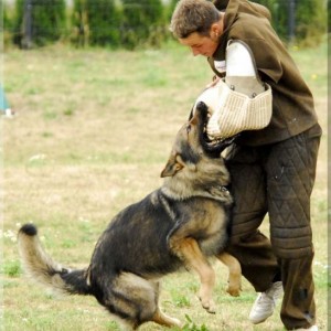 jasko annenhof 060806 12