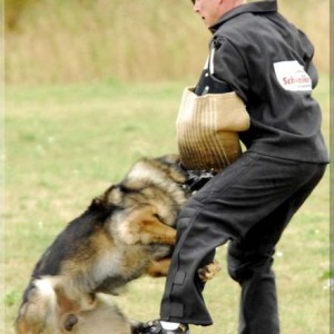 jasko annenhof 060806 14