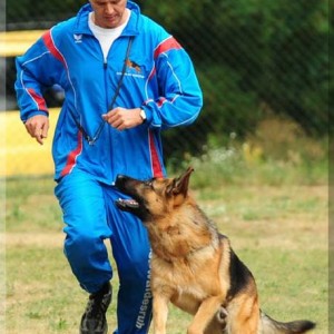 kimi 030808 01