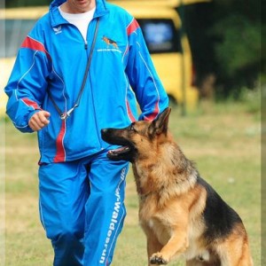 kimi 030808 02