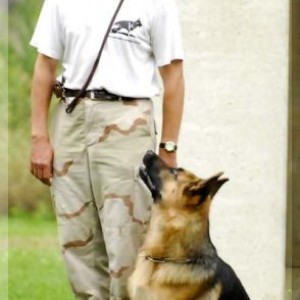 kimi 1108 bild02
