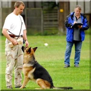 kimi 1108 bild03