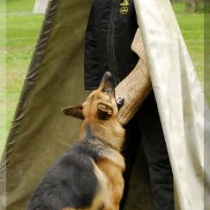 kimi 1108 bild09