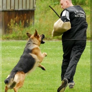 kimi 1108 bild10