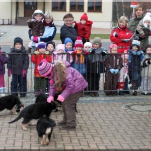 v wurf 161209 8 wochen kindergarten